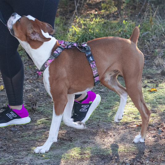 Contra Harness Lifestyle