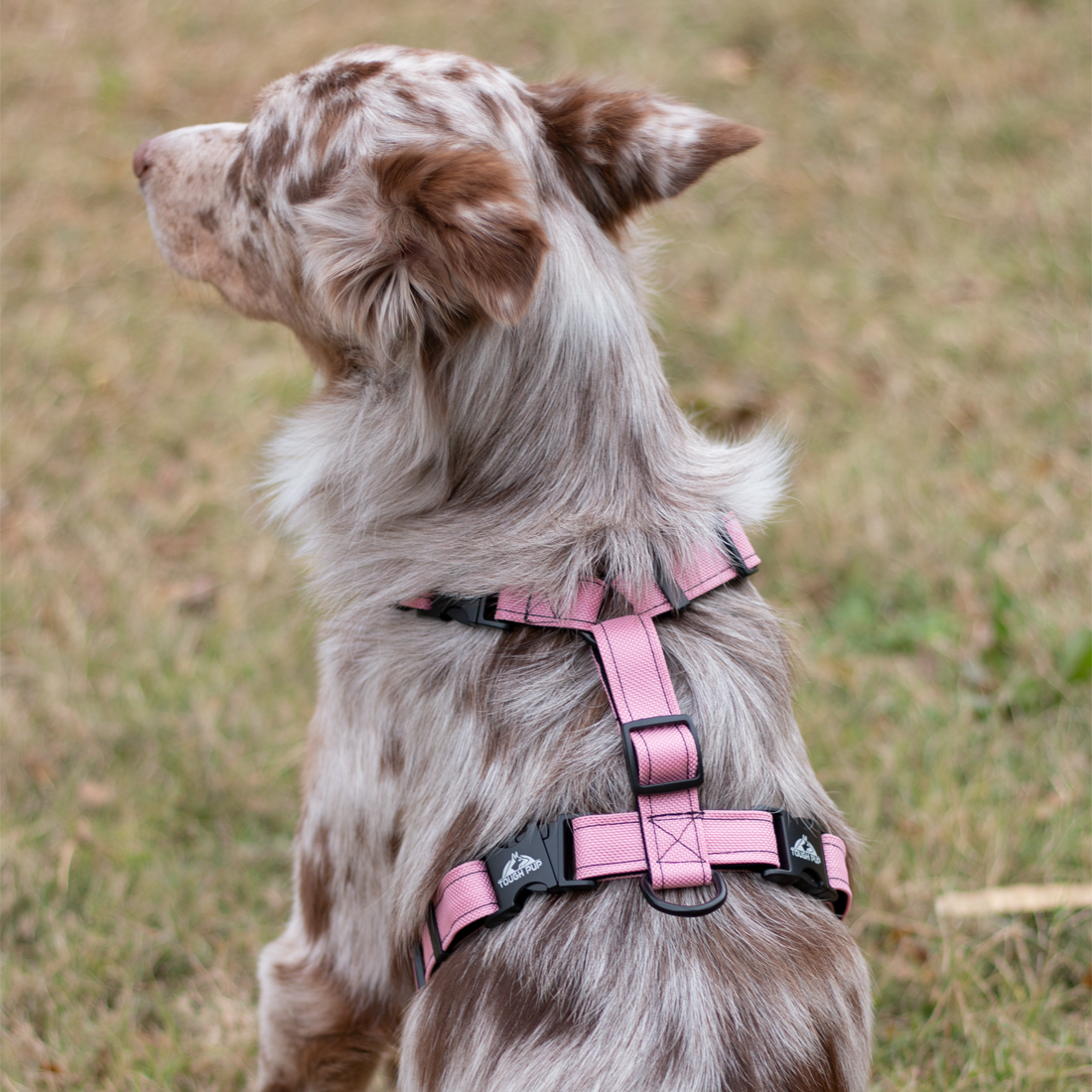 Contra Harness Pink