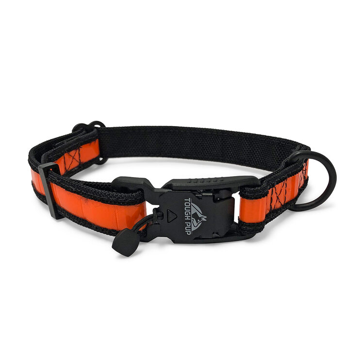 Tough dog shop collars