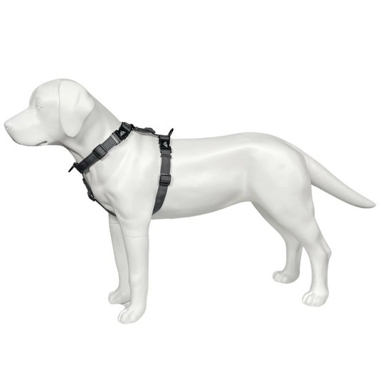 Tough Pup Contra Harness Gray
